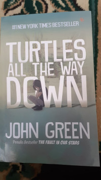 Image of TURTLES ALL THE WAY DOWN